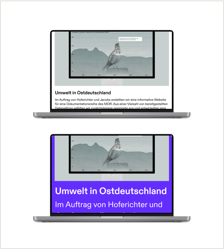 Zwei Laptops zeigen alternative Versionen der Figures-Portfolio-Website. Auf dem ersten wird das Portfolio mit seinem Standarddesign angezeigt. Auf dem zweiten ist die Hintergrundfarbe auf lila geändert und der Text ist weiß und größer, um zu zeigen, dass der Benutzer diese Einstellungen ändern kann.