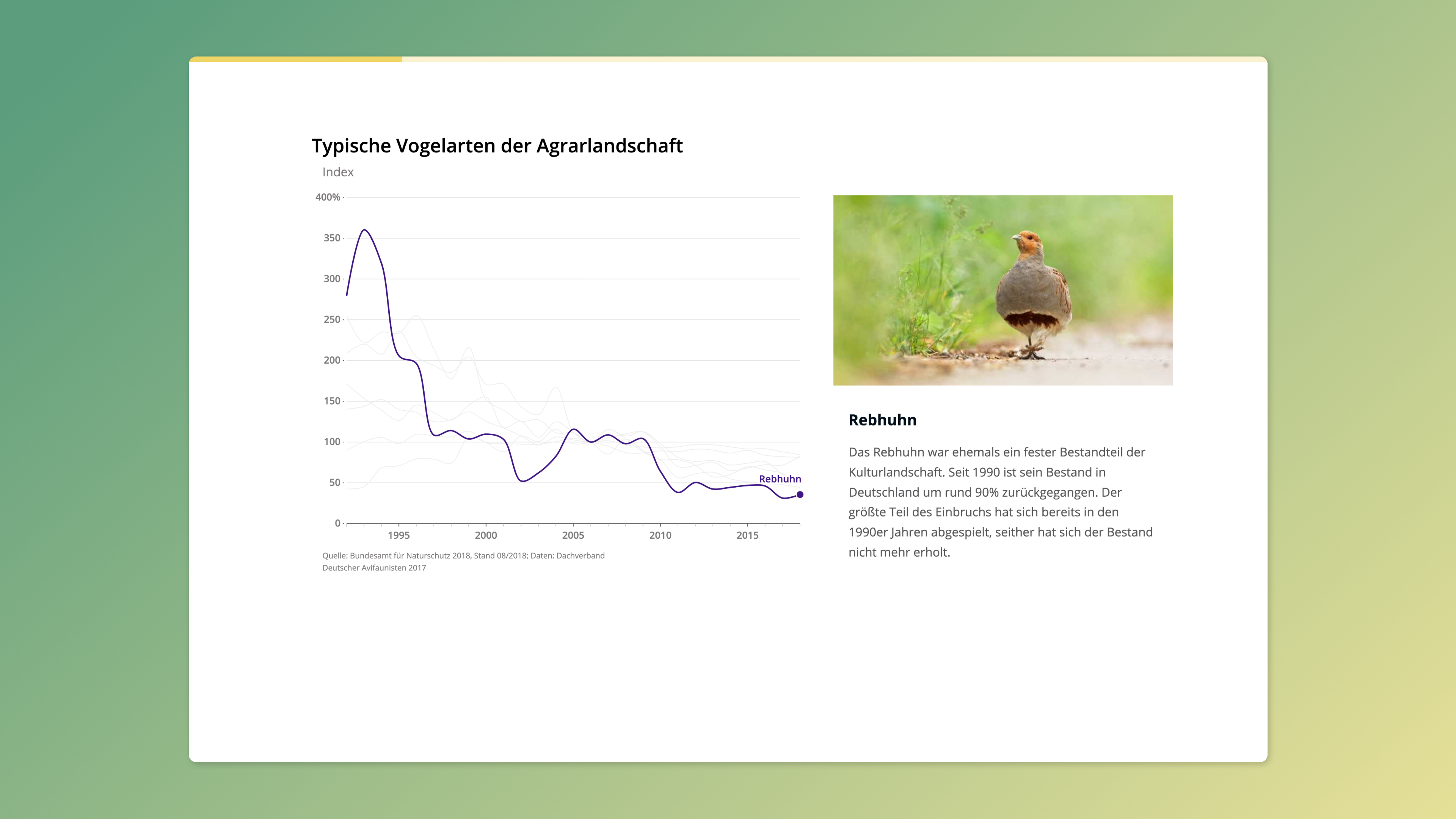 Eine Grafik, die einen detaillierten Blick auf eine für Agrarlandschaften typische Vogelart, das "Rebhuhn", bietet. Das Bild zeigt ein Liniendiagramm, aus dem hervorgeht, dass die Population dieser Vogelart im Laufe der Zeit abnimmt. Diese überzeugende visuelle Darstellung unterstreicht die Dringlichkeit, dem Rückgang der biologischen Vielfalt in unseren Agrarlandschaften entgegenzuwirken.