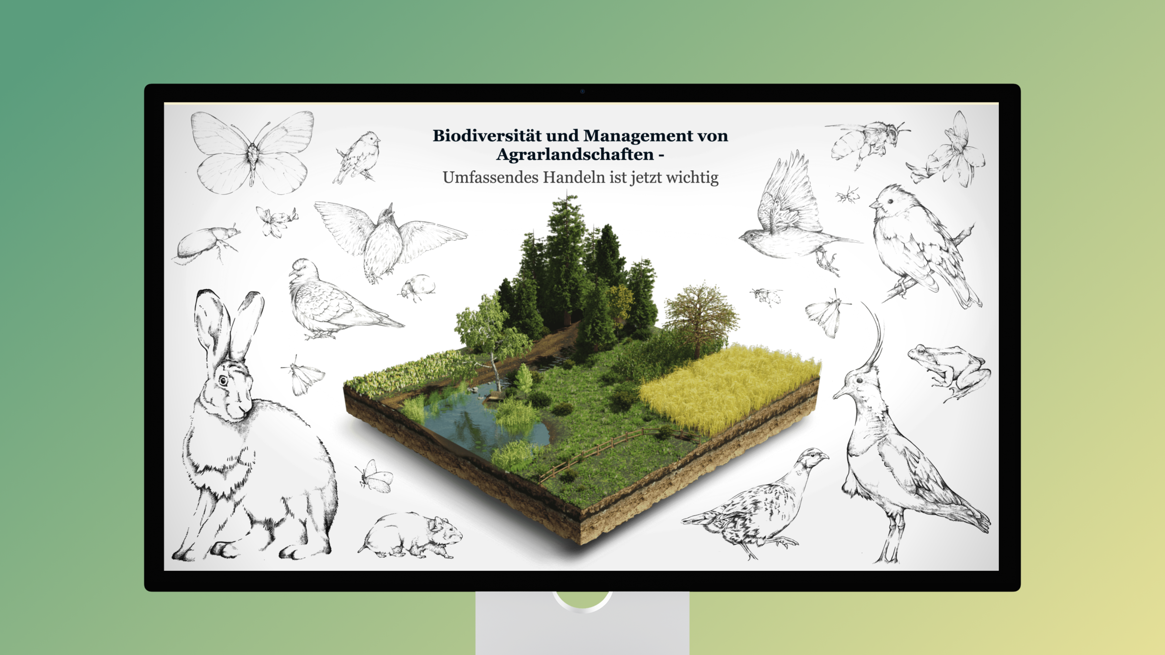 Der Heldenbereich der Website "Biodiversität und landwirtschaftliche Bewirtschaftung" zeigt eine 3D-Darstellung einer Agrarlandschaft. Dieses Modell ist von Skizzen verschiedener Tiere umgeben, darunter Schmetterlinge, Vögel und Kaninchen, die die reiche Artenvielfalt in solchen Umgebungen symbolisieren.