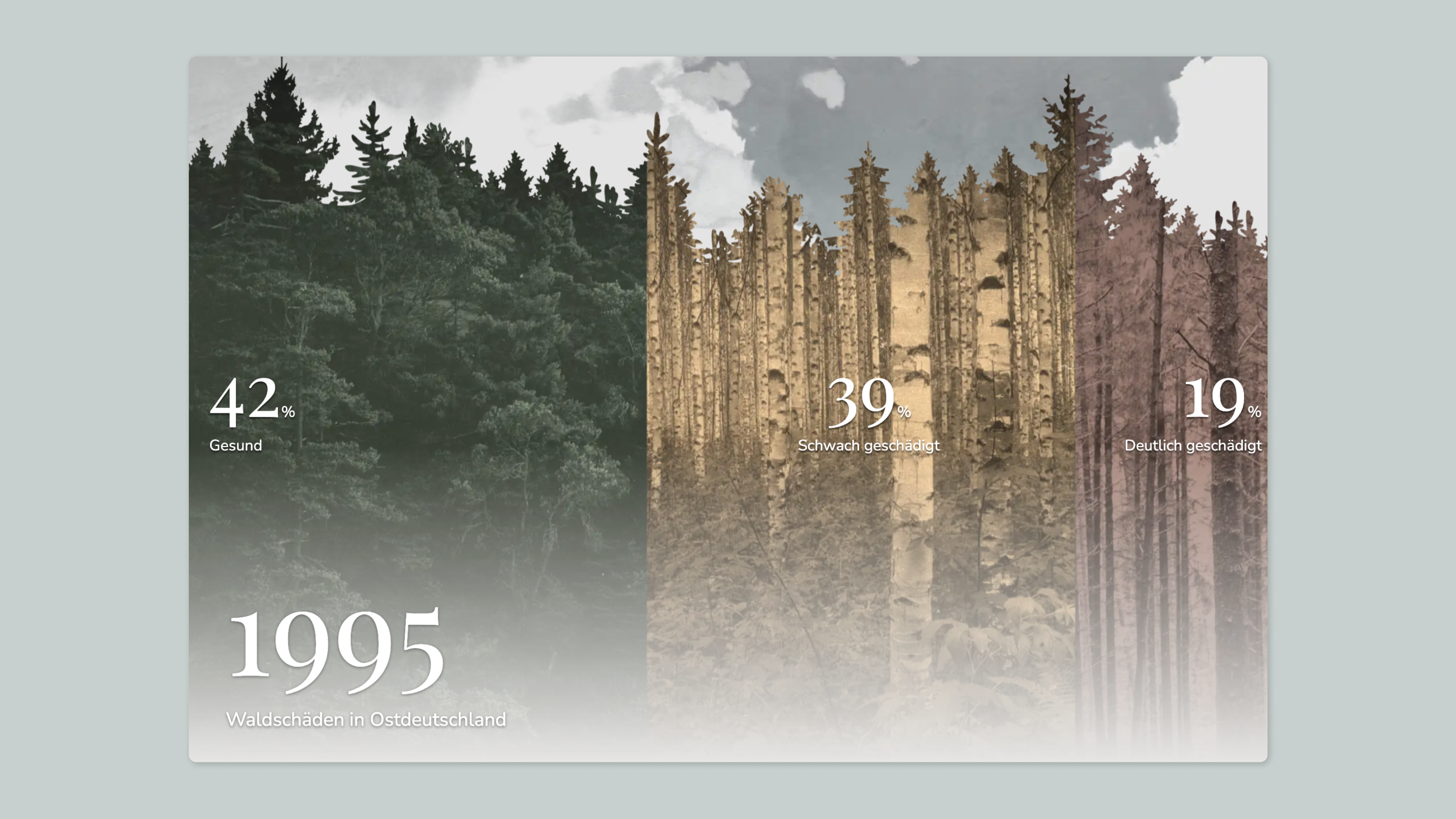 Ein Balkendiagramm mit einem Wald als Hintergrund veranschaulicht die Daten zu den Waldschäden von 1995.